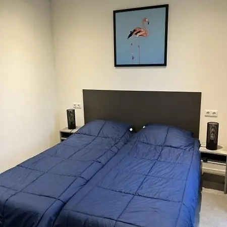 Enkhuizer Strandmuschel Erste Reihe Hausnr 215 Enkhuizen